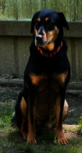Lucy