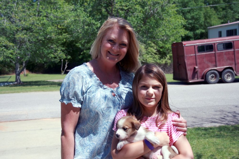 Provide Vet Care to Abandoned Animals