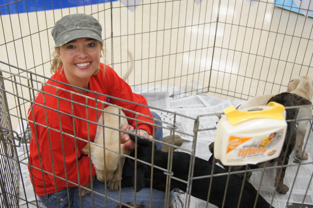 Provide Vet Care to Abandoned Animals