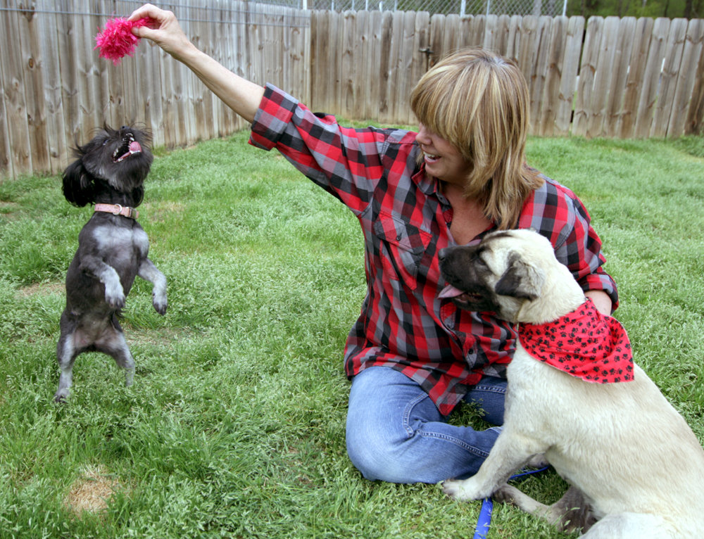 Provide Vet Care to Abandoned Animals