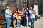 Provide Vet Care to Abandoned Animals