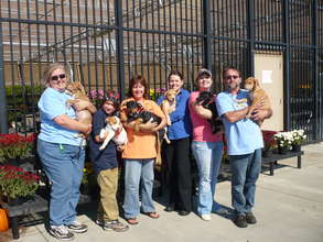 Provide Vet Care to Abandoned Animals