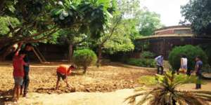 Sowing and planting of vegetables