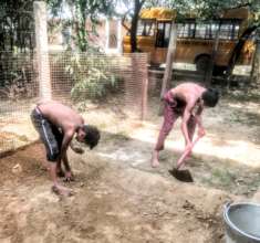 growing veggies