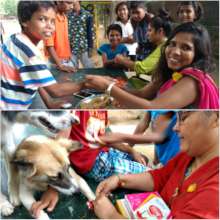 Rakhi Festival Celebration
