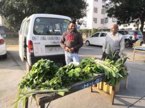 selling veggies