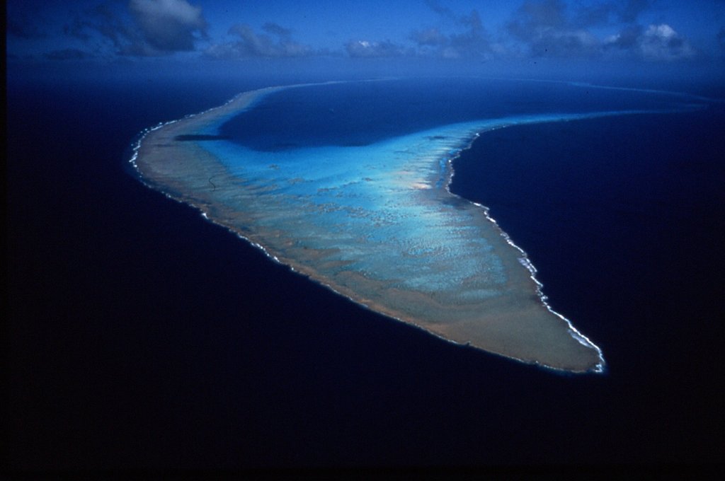Help make the Coral Sea our largest ocean reserve