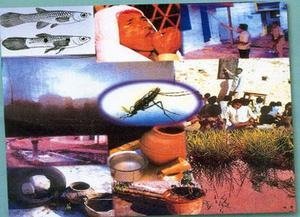 Health Education for Students in Botswana