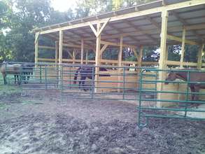 Sunkissed Acres shelter 1 under construction