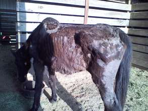 Ivanessa Before