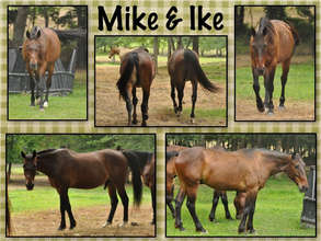 Mike and Ike