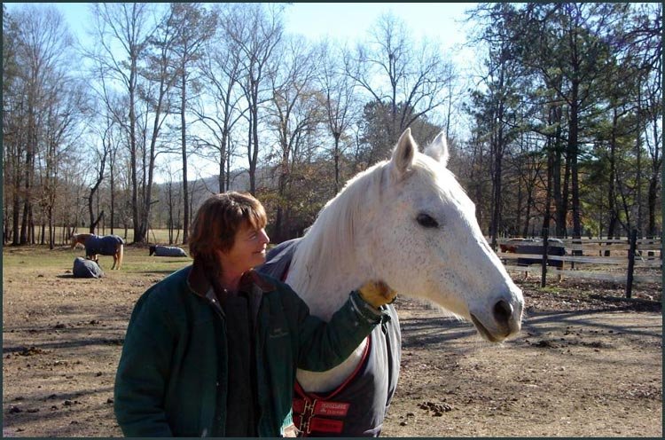 Provide Sanctuary for Severely Abused Horses