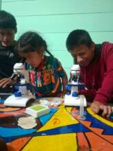 Science Class at the Library
