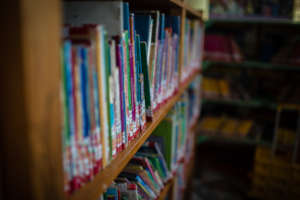 Our growing book collection invites exploration