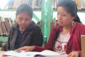Marina helping a library member complete homework