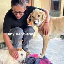 Omy Recovering