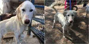 Boris Before and Now