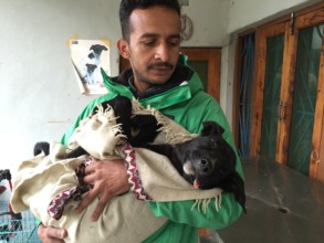 Rescue Day