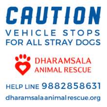 #slowdownDharamsala