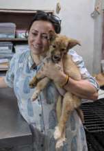 Adopted!