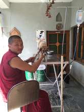 Monk with Stray Pup he found