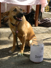 Ruby the fund raiser