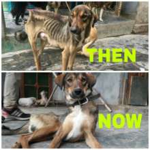 Sunshine Before and and now