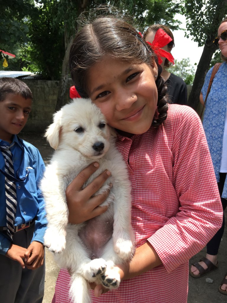 Indian school girl at DAR education program