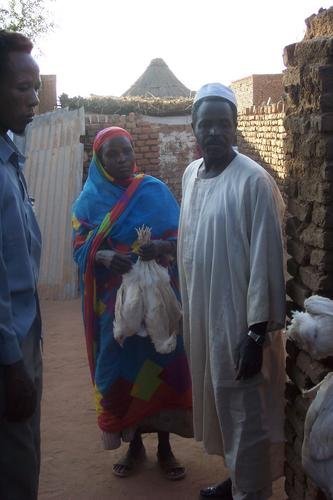 Livelihoods for Families Through Livestock, Sudan