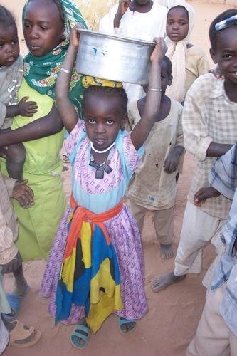 Livelihoods for Families Through Livestock, Sudan