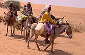 Livelihoods for Families Through Livestock, Sudan