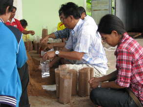Making mushroom growing packs