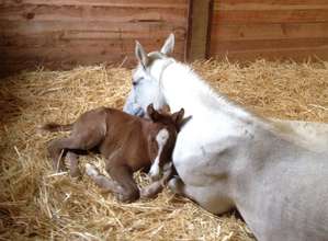 Carlos with Mom