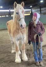 Bell starting her recovery in foster