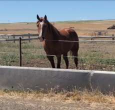 In the sorting corral