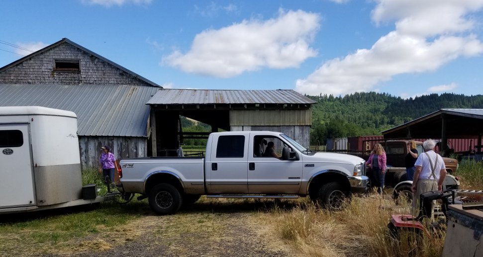Give Health & Purpose to a Neglected Horse