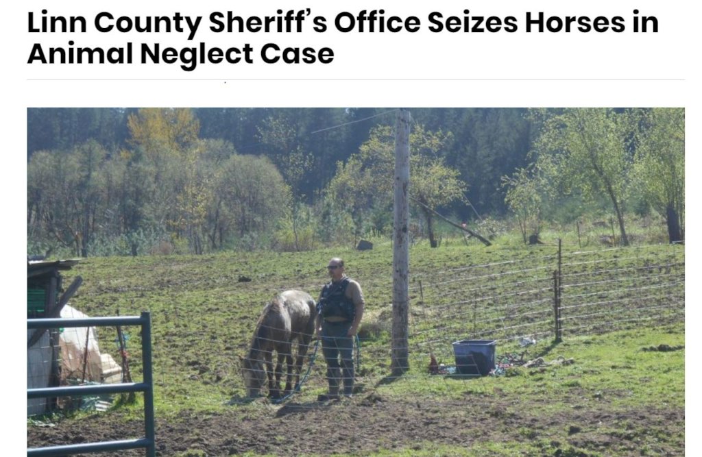 Give Health & Purpose to a Neglected Horse