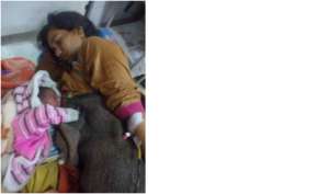 Ganga and her new born baby, both doing well!