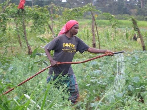 New Technology for Farmers in Africa
