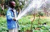 New Technology for Farmers in Africa