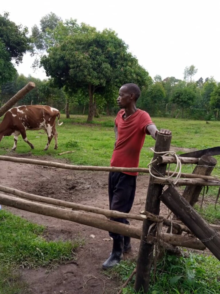 THE Heifer project