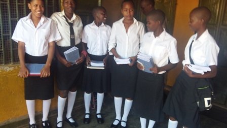 The School project