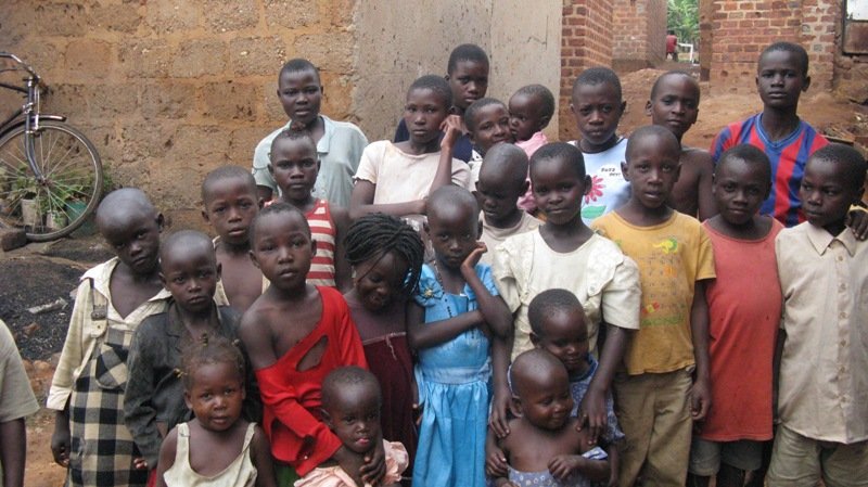 The School project