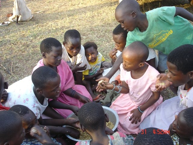 The School project