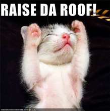 Raise a roof Project