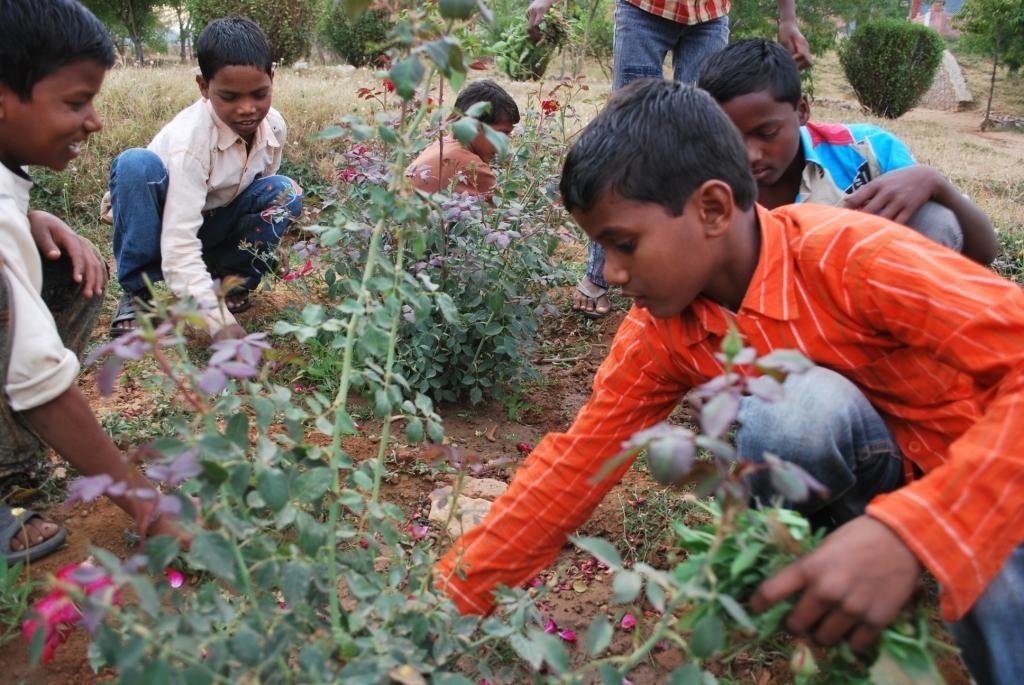 Rehabilitation of 360 Trafficked Child Laborers