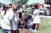 Juvenile Activism in Argentina Communities