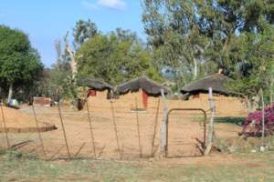 Bergnek Limpopo