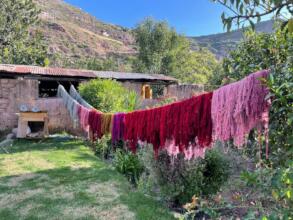 Natural dyes for our new collection