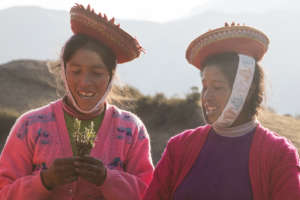 Jesusa and Florentina teach about medicinal plants